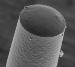 Optical fibre with a nano-composite coating used for ultrasound transmission (scanning electron micrograph).