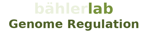 BahlerLab Logo
